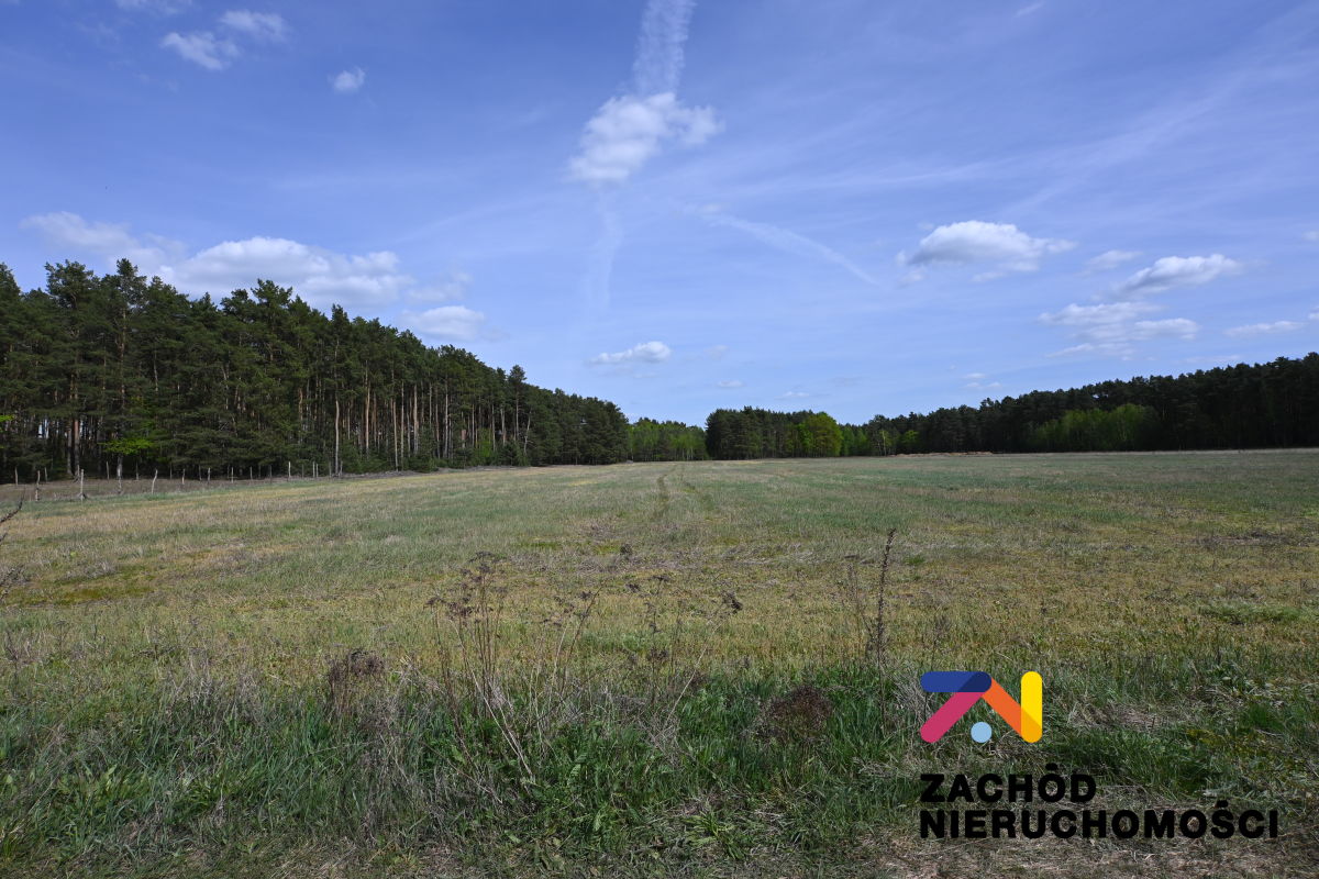 Na sprzedaż działka budowlana - Bronków -
lubuskie Zdjęcie nr 1