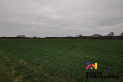 Na sprzedaż działka rolna - Zielona Góra -
lubuskie Zdjęcie nr 2