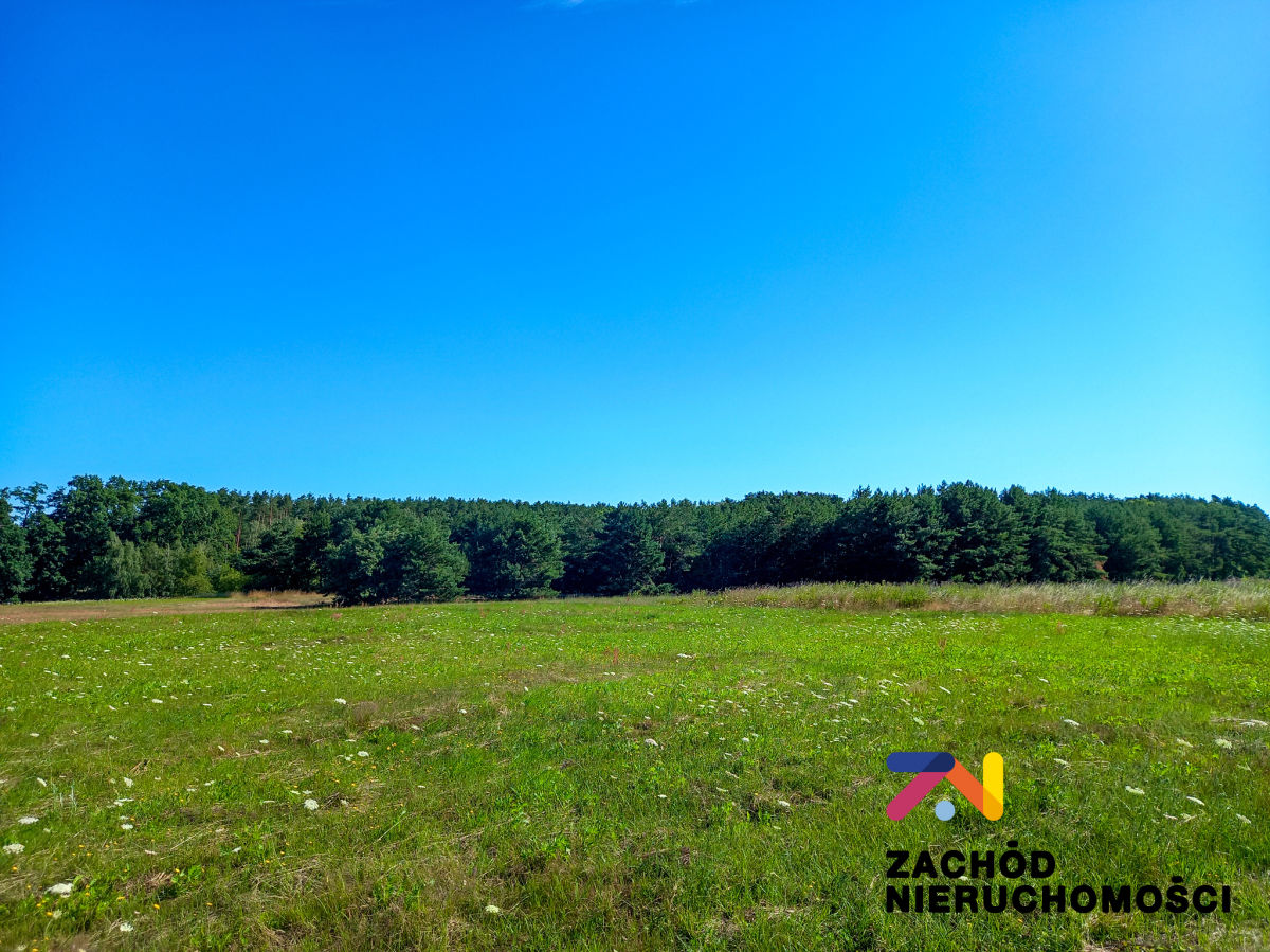 Na sprzedaż działka przemysłowa - Droszków -
lubuskie Zdjęcie nr 1