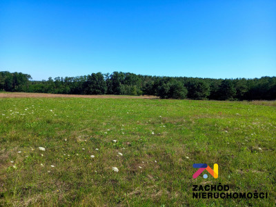 Na sprzedaż działka przemysłowa - Droszków -
lubuskie Zdjęcie nr 2