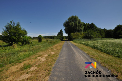 Na sprzedaż działka rolna - Zielona Góra -
lubuskie Zdjęcie nr 2