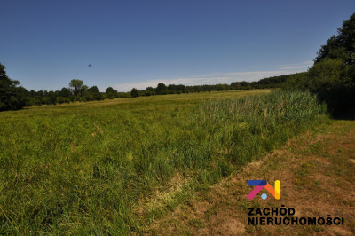 Na sprzedaż działka rolna - Zielona Góra -
lubuskie Zdjęcie nr 3