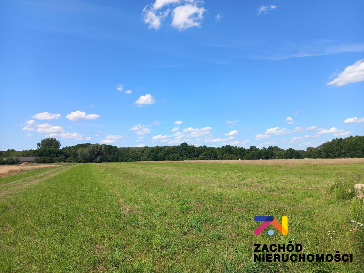 Na sprzedaż działka budowlana - Zabór -
lubuskie Zdjęcie nr 1