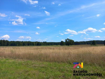 Na sprzedaż działka budowlana - Zabór -
lubuskie Zdjęcie nr 4