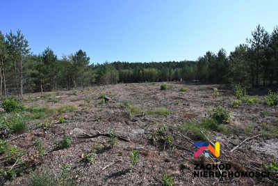 Na sprzedaż działka budowlana - Kaczenice -
lubuskie Zdjęcie nr 2