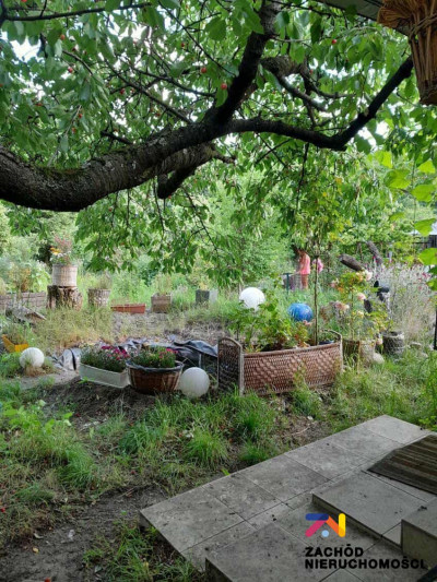 Na sprzedaż działka rolna - Zielona Góra -
lubuskie Zdjęcie nr 15