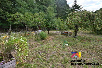 Na sprzedaż działka rolna - Zielona Góra -
lubuskie Zdjęcie nr 9