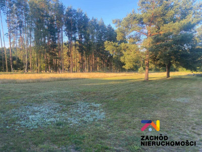 Na sprzedaż działka budowlana - Brody -
lubuskie Zdjęcie nr 2