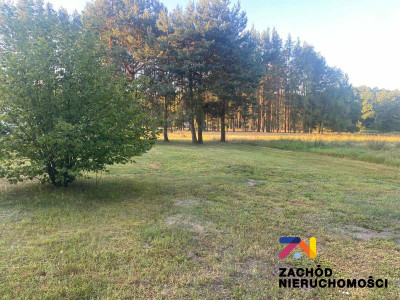 Na sprzedaż działka budowlana - Brody -
lubuskie Zdjęcie nr 3