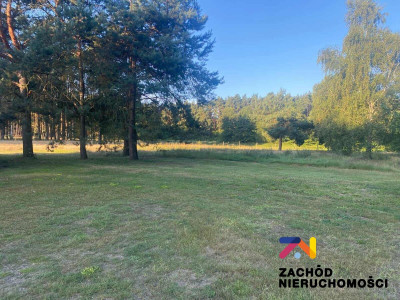 Na sprzedaż działka budowlana - Brody -
lubuskie Zdjęcie nr 5