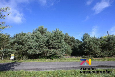 Na sprzedaż działka budowlana - Radomia - lubuskie