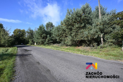 Na sprzedaż działka budowlana - Radomia -
lubuskie Zdjęcie nr 3