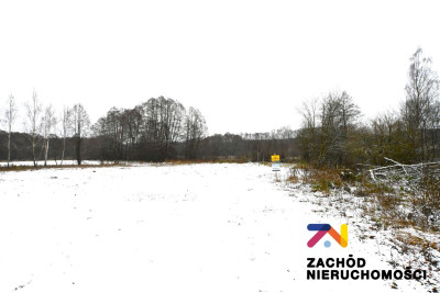 Na sprzedaż działka budowlana - Czarna -
lubuskie Zdjęcie nr 2