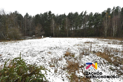 Na sprzedaż działka budowlana - Czarna -
lubuskie Zdjęcie nr 3