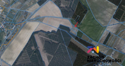 Na sprzedaż działka rolna - Bogaczów -
lubuskie Zdjęcie nr 3