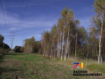 Na sprzedaż działka budowlana - Radomia -
lubuskie Zdjęcie nr 3