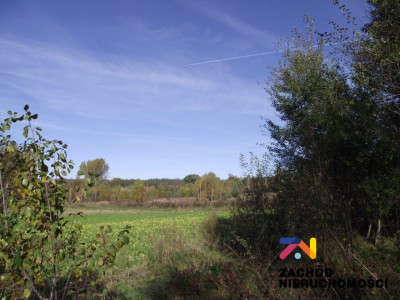 Na sprzedaż działka budowlana - Radomia -
lubuskie Zdjęcie nr 6