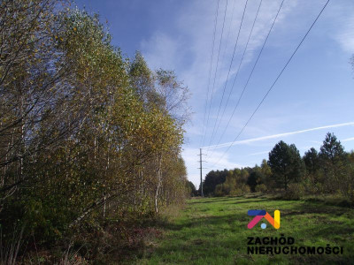 Na sprzedaż działka budowlana - Radomia -
lubuskie Zdjęcie nr 7