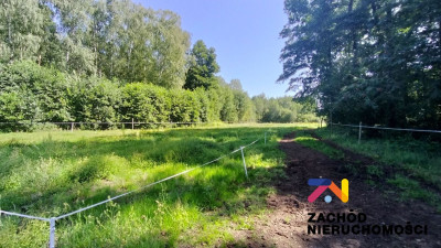 Na sprzedaż działka budowlana - Zielona Góra -
lubuskie Zdjęcie nr 2