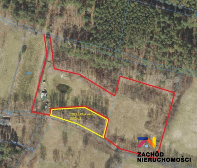 Na sprzedaż działka budowlana - Zielona Góra -
lubuskie Zdjęcie nr 6
