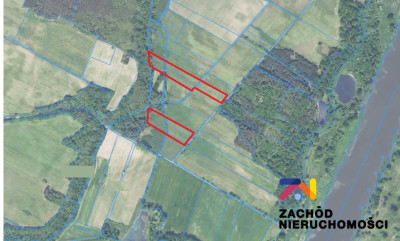 Na sprzedaż działka rolna - Dąbrowa - lubuskie