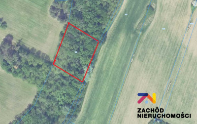 Na sprzedaż działka leśna - Dąbrowa - lubuskie