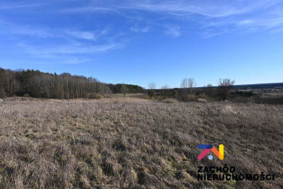 Na sprzedaż działka budowlana - Drągowina -
lubuskie Zdjęcie nr 4