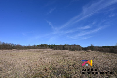 Na sprzedaż działka budowlana - Drągowina -
lubuskie Zdjęcie nr 7