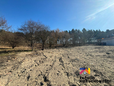 Na sprzedaż działka budowlana - Zielona Góra -
lubuskie Zdjęcie nr 2