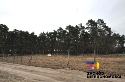 Na sprzedaż działka budowlana - Bronków -
lubuskie Zdjęcie nr 2