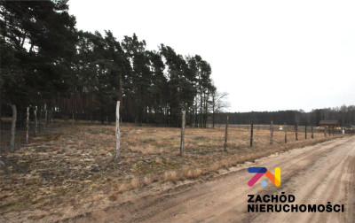 Na sprzedaż działka budowlana - Bronków -
lubuskie Zdjęcie nr 3