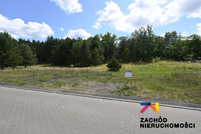 Na sprzedaż działka budowlana - Przytok -
lubuskie Zdjęcie nr 3