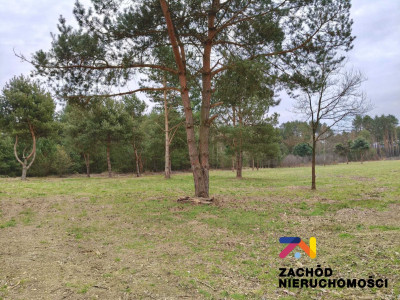 Na sprzedaż działka budowlana - lubuskie