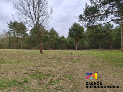 Na sprzedaż działka budowlana - Radomia -
lubuskie Zdjęcie nr 4