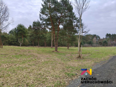 Na sprzedaż działka budowlana - Radomia -
lubuskie Zdjęcie nr 5