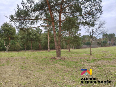 Na sprzedaż działka budowlana - Radomia - lubuskie