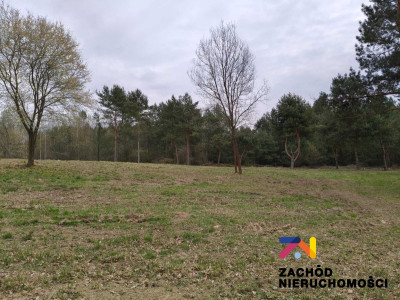 Na sprzedaż działka budowlana - Radomia -
lubuskie Zdjęcie nr 3