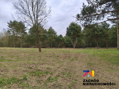 Na sprzedaż działka budowlana - Radomia -
lubuskie Zdjęcie nr 4