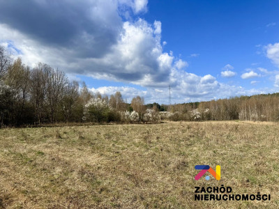 Na sprzedaż działka budowlana - Zielona Góra -
lubuskie Zdjęcie nr 3