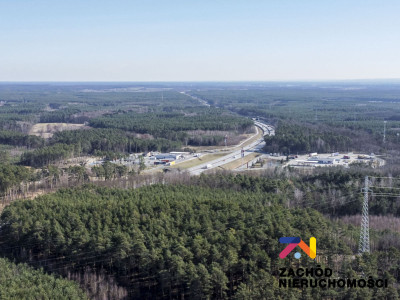 Na sprzedaż działka budowlana - Zielona Góra -
lubuskie Zdjęcie nr 9