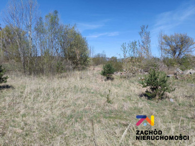 Na sprzedaż działka budowlana - Zabór - lubuskie