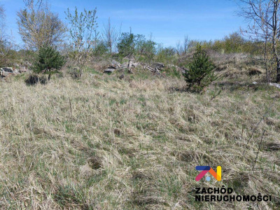 Na sprzedaż działka budowlana - Zabór -
lubuskie Zdjęcie nr 3