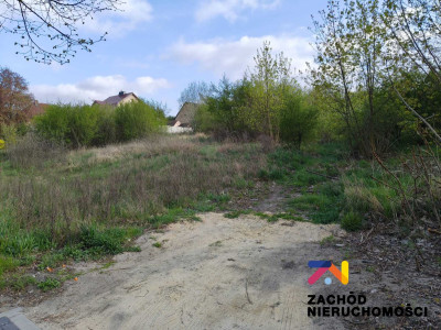 Na sprzedaż działka inwestycyjna - Lubsko -
lubuskie Zdjęcie nr 4