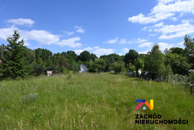 Na sprzedaż działka rolna - Podgórzyce -
lubuskie Zdjęcie nr 5