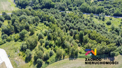 Na sprzedaż działka inwestycyjna - Sękowice -
lubuskie Zdjęcie nr 3