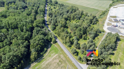 Na sprzedaż działka inwestycyjna - Sękowice -
lubuskie Zdjęcie nr 4