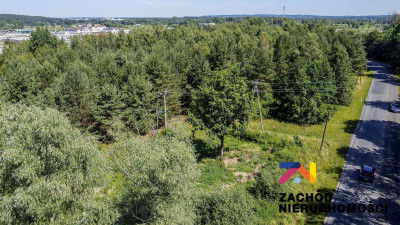 Na sprzedaż działka inwestycyjna - Sękowice -
lubuskie Zdjęcie nr 6