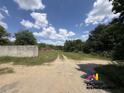 Na sprzedaż działka budowlana - Bogaczów -
lubuskie Zdjęcie nr 6