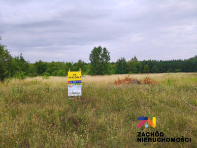 Na sprzedaż działka budowlana - Słone -
lubuskie Zdjęcie nr 2