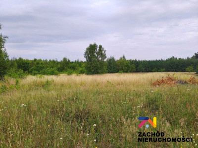 Na sprzedaż działka budowlana - Słone -
lubuskie Zdjęcie nr 3